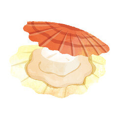 手書きのホタテのイラスト(料理、日本食、ホタテ、バター醤油、水彩) A handwritten scallop illustration.Food, Japanese food, scallops, butter soy sauce, and watercolors.