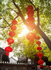 Strings of red lanterns hanging in the park during Chinese New Year