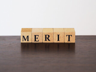 メリット(merit)と書かれた木のブロックのタグ