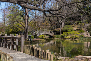 Naklejka premium Pond reflection and a bridge over water in springtime public park