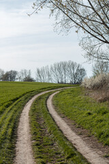 Fototapeta na wymiar country road in spring