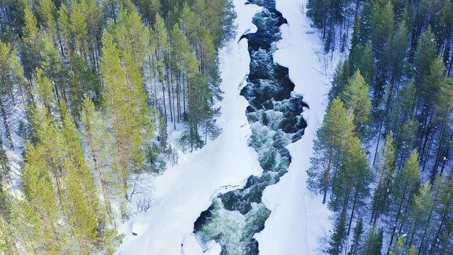 Flying Above Cascade Powerful River Among Scandinavian Evergreen Forests In Winter