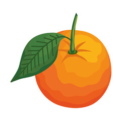 orange fresh fruit