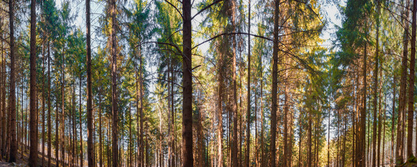 Fototapeta premium Mountain panorama of Heuberg mountain in Bavaria, Germany