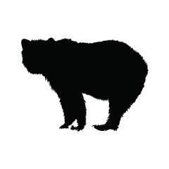 logo of a strong and brave bear