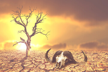 The concept of drought, global warming and the environment.