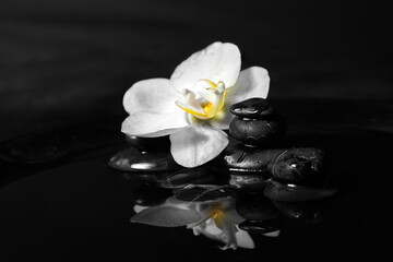 Fototapeta na wymiar Spa stones with flower in water on black
