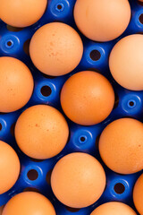 detailed view on fresh brown eggs in blue plastic container