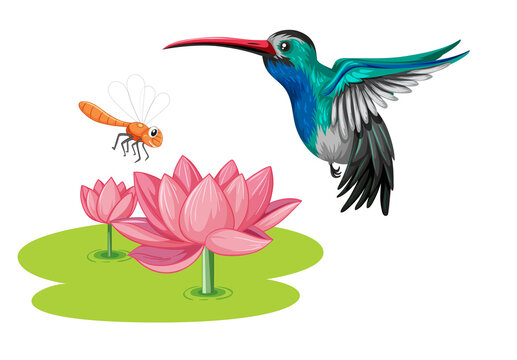 Hummingbird with lotus flower in cartoon style