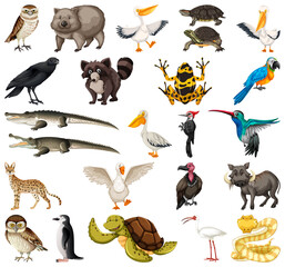 Different kinds of animals collection