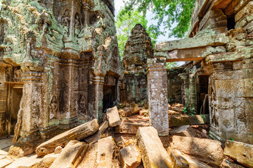 Obraz premium Ruins of Ta Prohm temple in Angkor, Cambodia