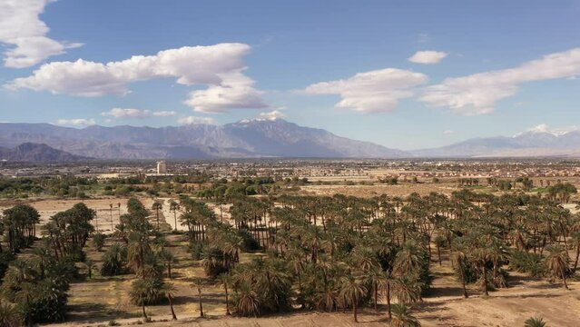 Coachella Valley California surrounded by mountains. Drone flying over date palms.