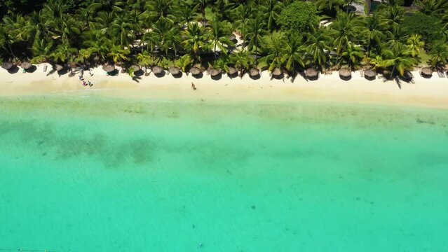 Beach along the waterfront and coral reef and palm trees, Mauritius, Africa, Pier near the beach of the island of Mauritius