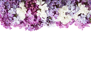 Colorful tiny flowers of Lilac isolated on white background. Floral border. Flat lay.