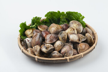 Clams, clams, fish and shellfish, seafood, cooking, food ingredients, bow clams, animals, food, seafood, sea shells, sea shells, semi-locks, ringworms, laundry, animal, sealife, marine life, invertebr