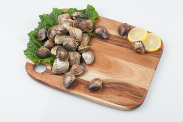 Clams, clams, fish and shellfish, seafood, cooking, food ingredients, bow clams, animals, food,...