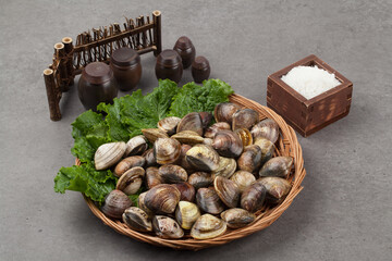 Clams, clams, fish and shellfish, seafood, cooking, food ingredients, bow clams, animals, food, seafood, sea shells, sea shells, semi-locks, ringworms, laundry, animal, sealife, marine life, invertebr