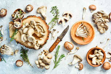 Organic Healthy Mushrooms: Maitake Mushrooms, Brown beech mushroom, and champignons. On a stone background.