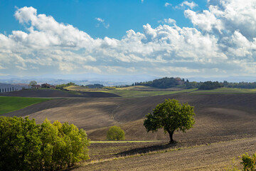 Fototapeta premium Typical Tuscan landscape near Siena, Tuscany, Italy