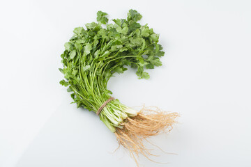 Food ingredients, coriander, Southeast Asian spices, spices, spices, cilantro leaves,