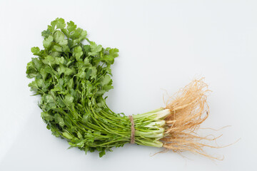 Food ingredients, coriander, Southeast Asian spices, spices, spices, cilantro leaves,
