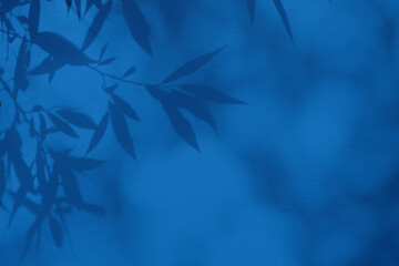 Shadow of leaves on blue concrete wall texture with roughness and irregularities. Abstract trendy colored nature concept background. Copy space for text overlay, poster mockup flat lay 