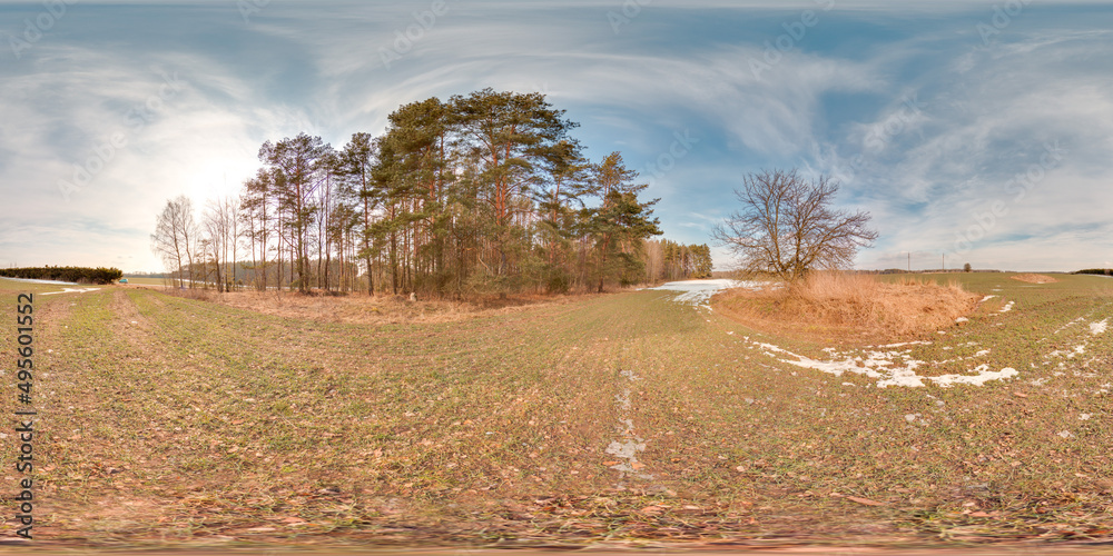Wall mural amazing landscape with blue sky at spring trees without greens and grass 3d spherical panorama with 