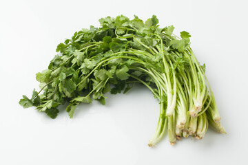 Food ingredients, coriander, Southeast Asian spices, spices, spices, cilantro leaves,