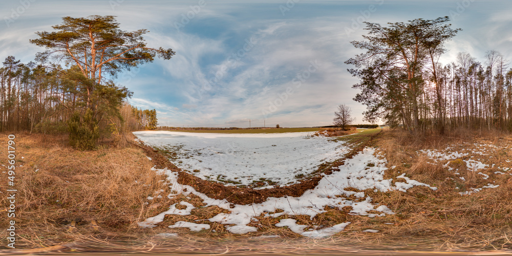 Wall mural amazing landscape with blue sky at spring trees without greens and grass with snow 3d spherical pano