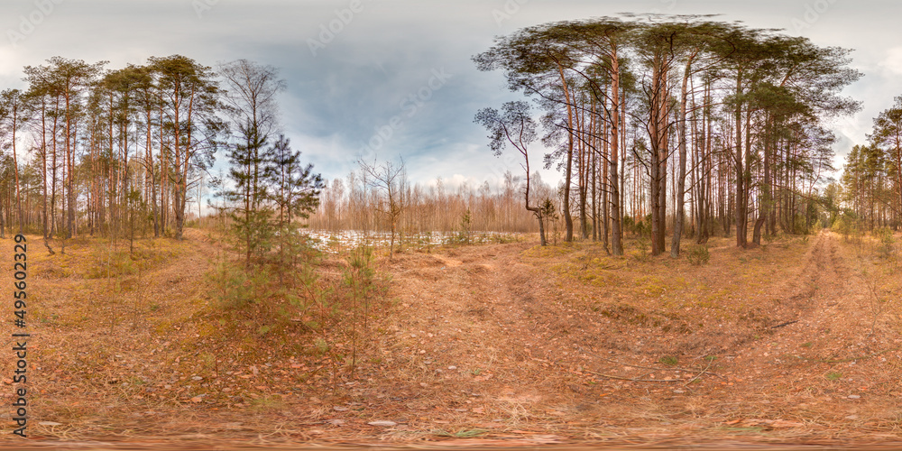 Wall mural amazing landscape with blue sky at spring trees without greens and grass 3d spherical panorama with 