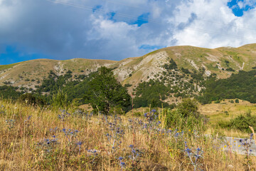 National Park of Abruzzo near Barrea, Lazio and Molis, Italy