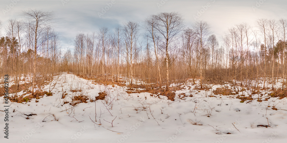 Wall mural amazing landscape with blue sky at spring trees without greens and grass with snow 3d spherical pano