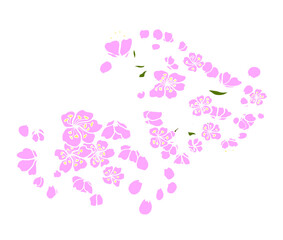 Branch of Cherry blossom on white.Vector illustration Sakura Flower,Nice Peach blossom isolated vector.Japanese floral.