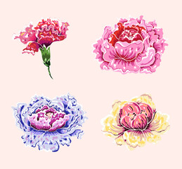Set of flower vector for painting on background.Peony for printing on curtain.Traditional  Asian floral illustration for embroidery style.Rose flower.Beautiful line art for summer.Peony flower vector.