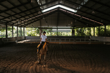 Young woman trains in horseback riding in the arena. A pedigree horse for equestrian sport. The...