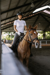 Young woman trains in horseback riding in the arena. A pedigree horse for equestrian sport. The sportswoman on a horse. The horsewoman on a horse. Equestrianism. Horse riding. Rider on a horse.
