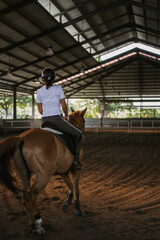 Young woman trains in horseback riding in the arena. A pedigree horse for equestrian sport. The...
