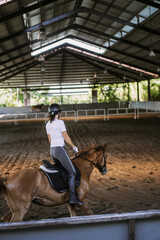 Young woman trains in horseback riding in the arena. A pedigree horse for equestrian sport. The...