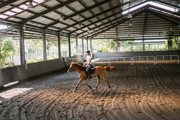 Young woman trains in horseback riding in the arena. A pedigree horse for equestrian sport. The sportswoman on a horse. The horsewoman on a horse. Equestrianism. Horse riding. Rider on a horse.
