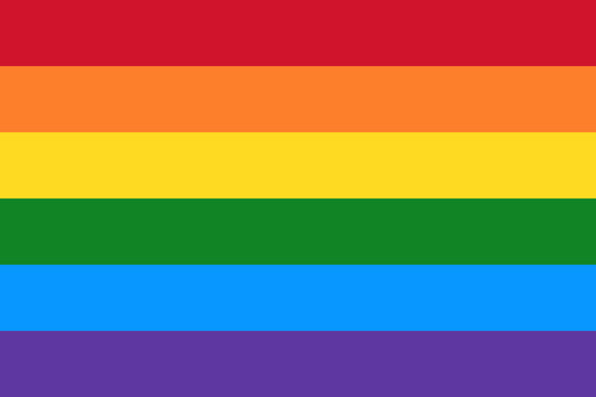 LGBTQ rainbow flag. Pride Flag. Pride month