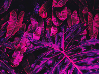purple tropical leaves texture background