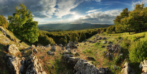 Fototapeta na wymiar Carpathian green mountain with sun