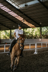 Young woman trains in horseback riding in the arena. A pedigree horse for equestrian sport. The sportswoman on a horse. The horsewoman on a horse. Equestrianism. Horse riding. Rider on a horse.
