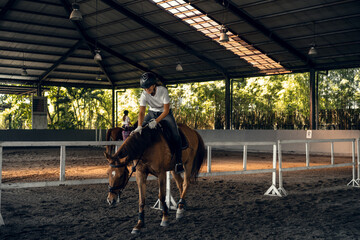 Young woman trains in horseback riding in the arena. A pedigree horse for equestrian sport. The...