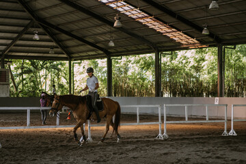 Woman trains in horseback riding in the arena. A pedigree horse for equestrian sport. The...