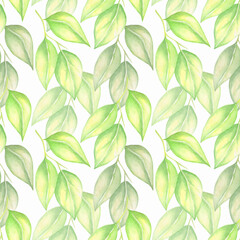 Watercolor seamless lemon leaves pattern isolated on white background.Good for textile,fabrics.