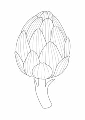 Artichoke line drawing illustration. Coloring book for children and adults