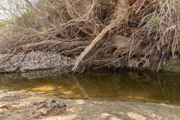 The Prat  River flows into the Jordan River near the Baptismal Site of Jesus Christ - Qasr el Yahud near to Jericho in Israel