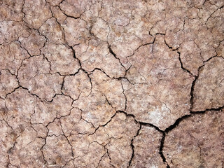 The ground has cracks in the top view for the background