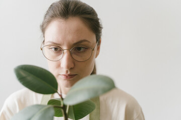 A flower shop worker with glasses checks a green plant for sale. Houseplant in a pot - ficus